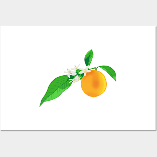 Orange Blossoms & Fruit Pattern Posters and Art